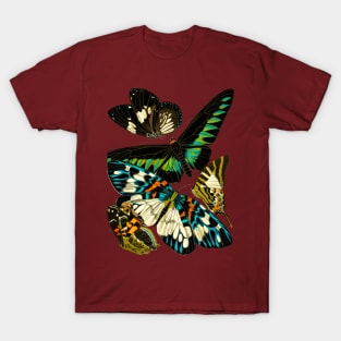 Butterflies T-Shirt